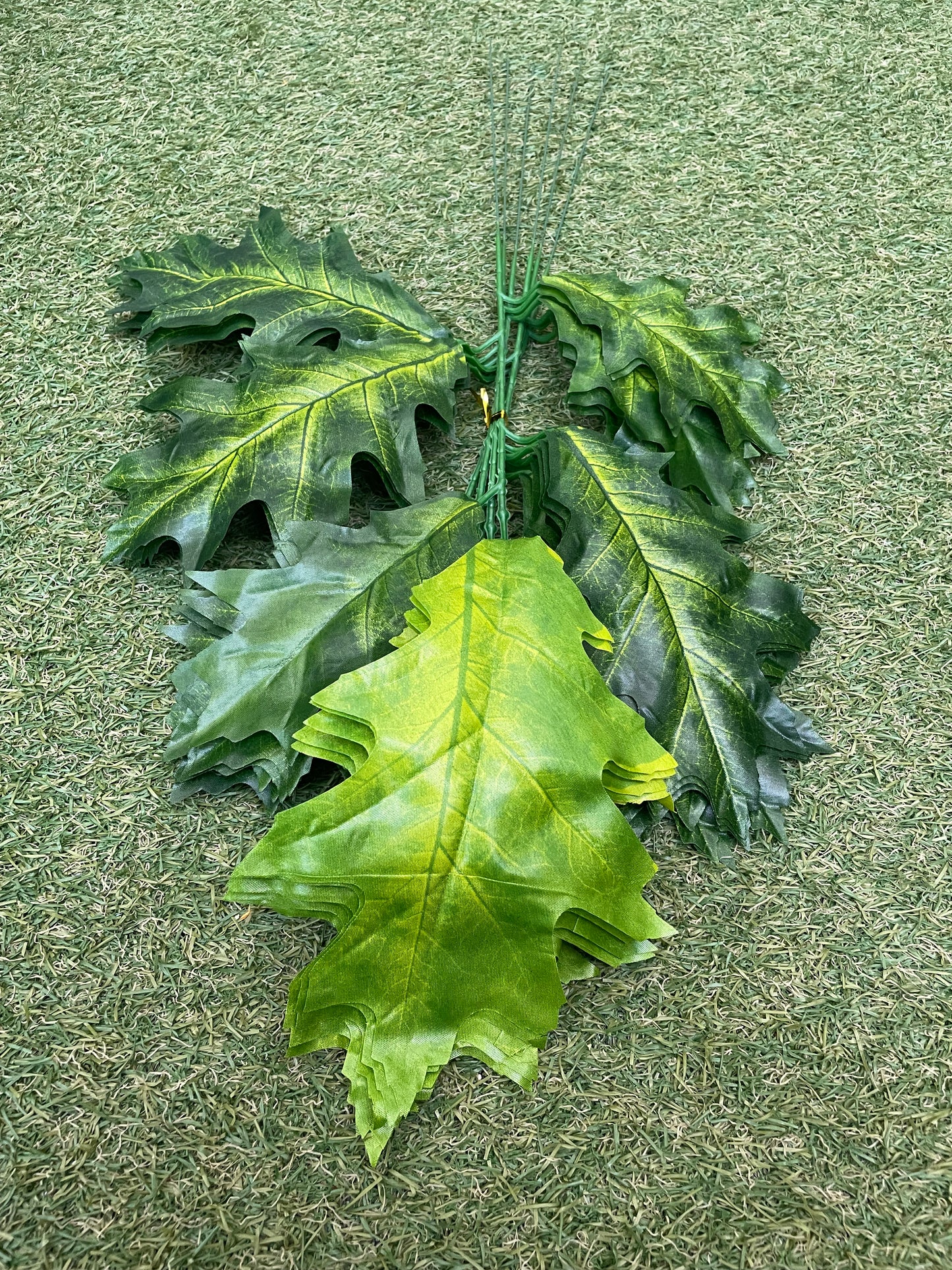 PK6 GREEN OAK LEAVES