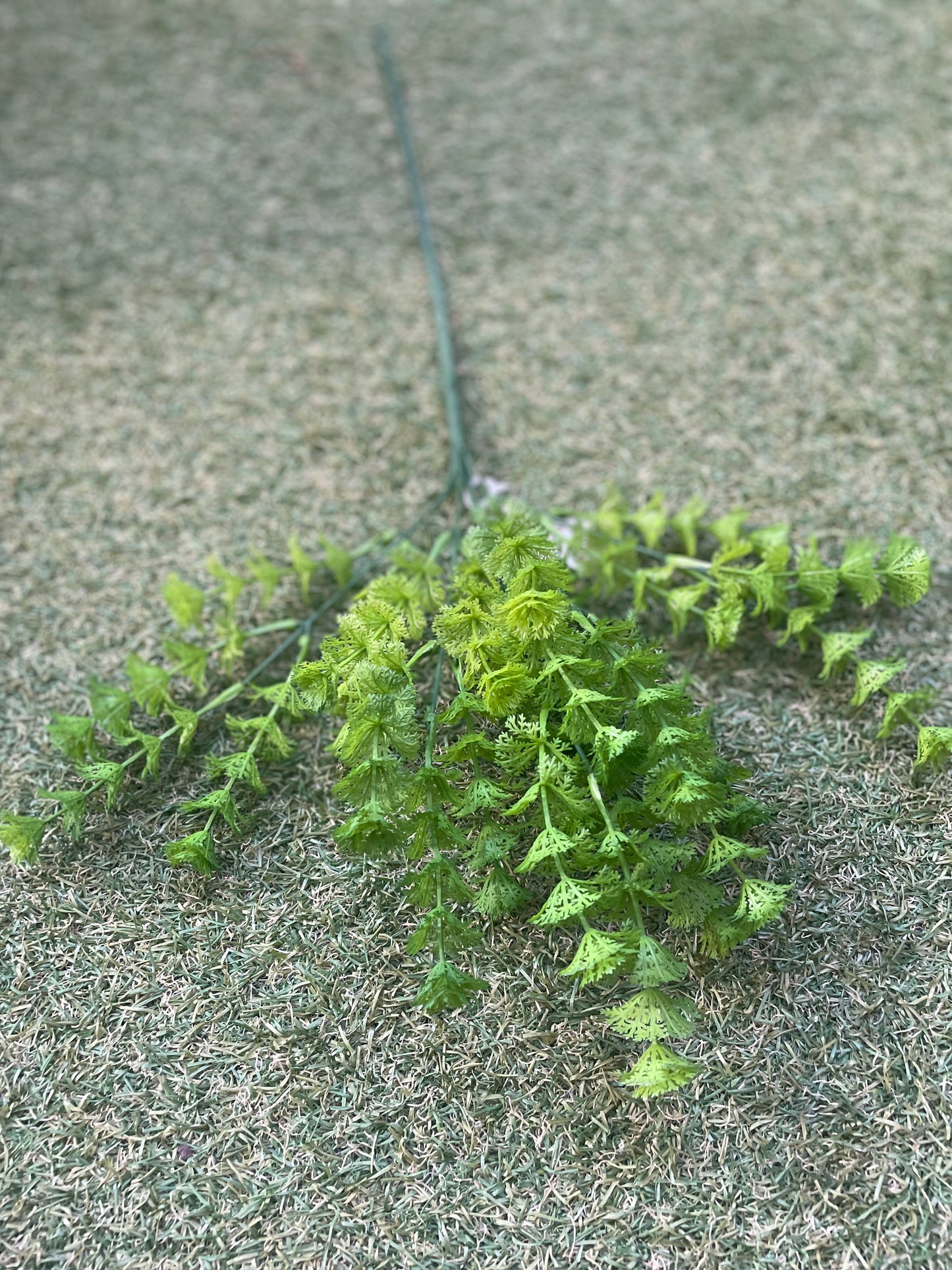 LONG MINI GLOBE FERN