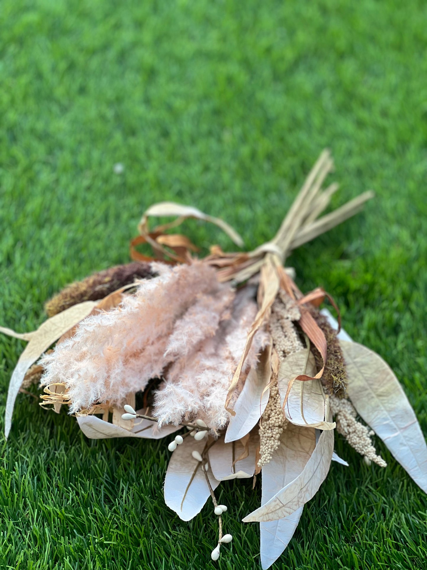 DRIED MIXED BUNCH OYSTER