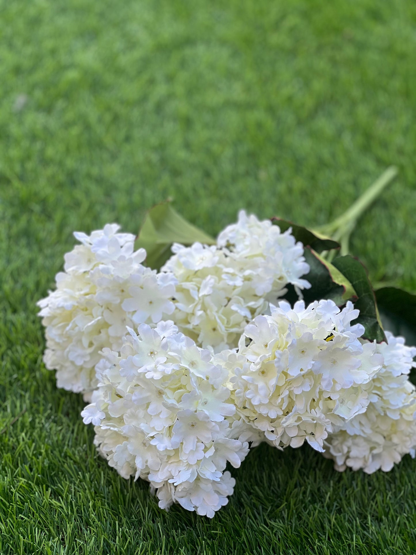 5 HEAD DELUXE FLUFFY HYDRANGEA BUNCH IVORY