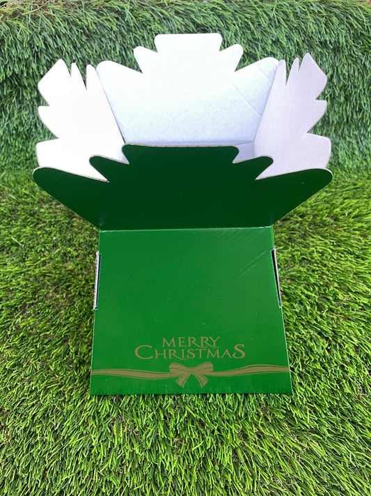 MERRY CHRISTMAS BOUQUET BOX BOW GREEN