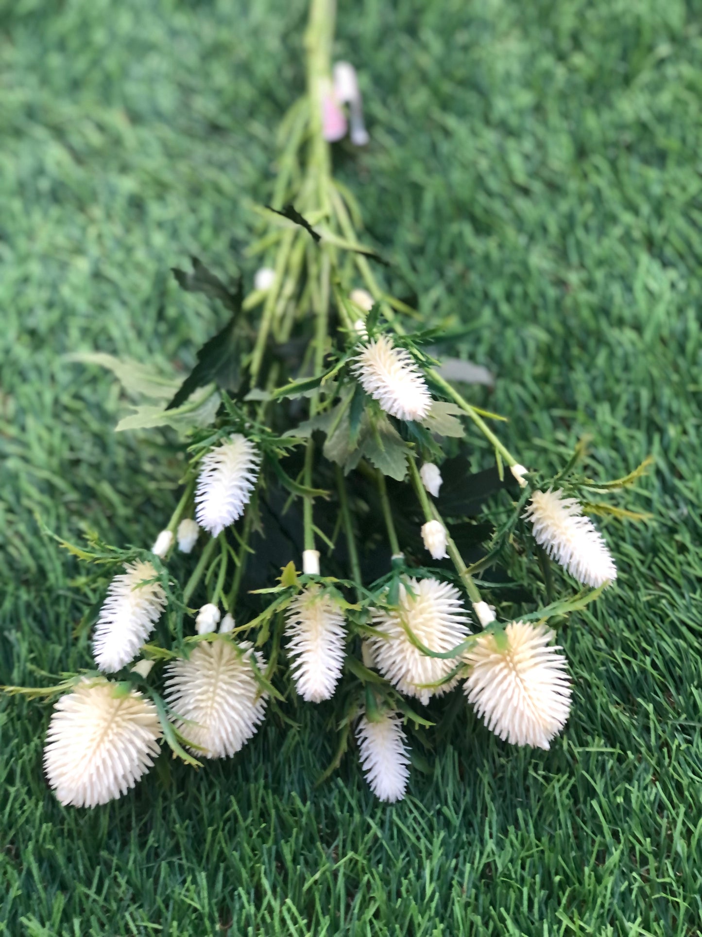 68cm SEA HOLLY BUNCH IVORY