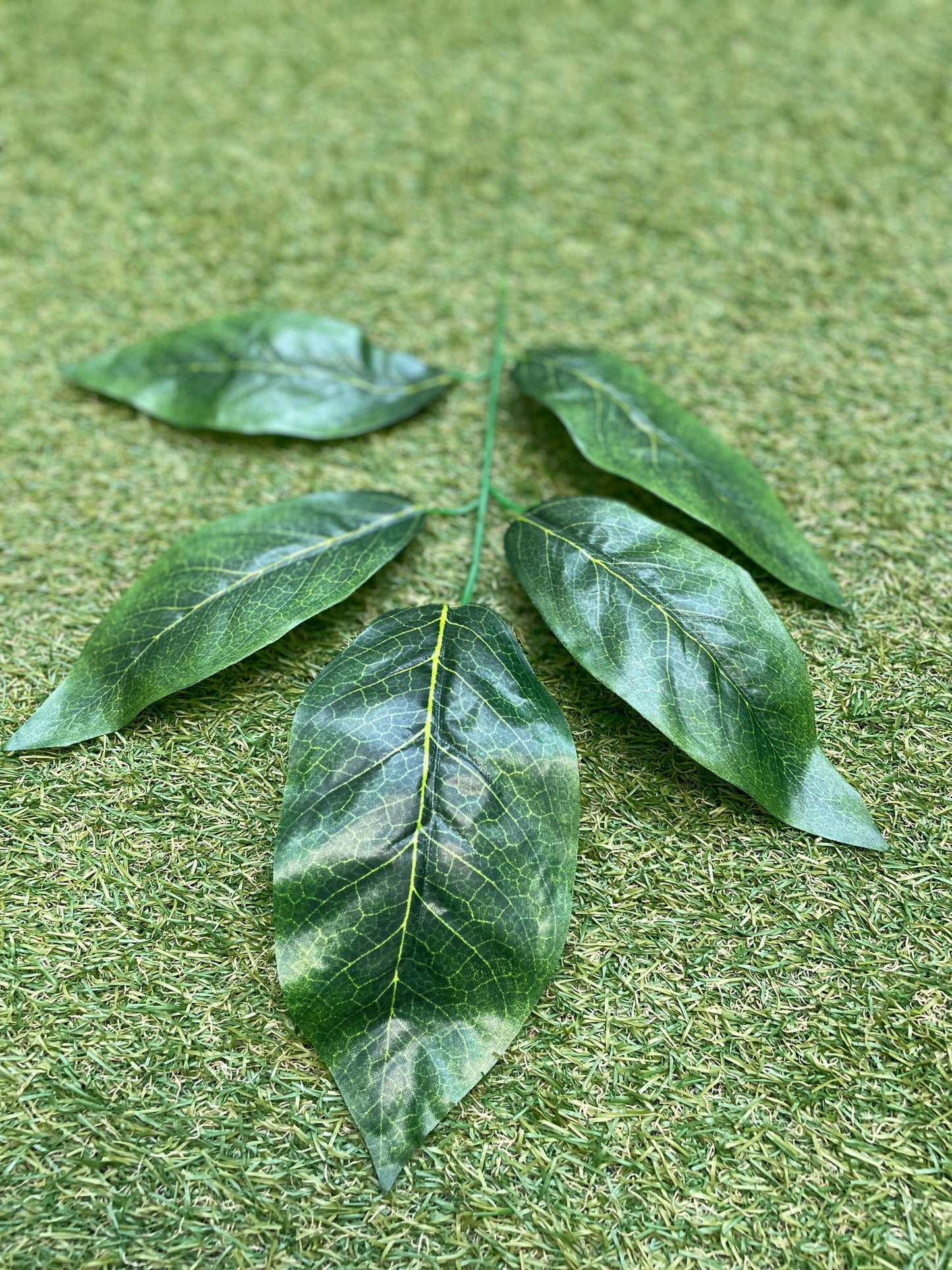 55cm MAGNOLIA LEAVES GREEN  PK6