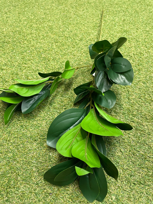 82cm PEPEROMIA LEAF SPRAY