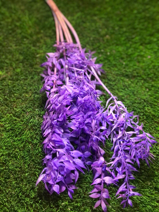 DRIED RUSCUS BUNCH LILAC