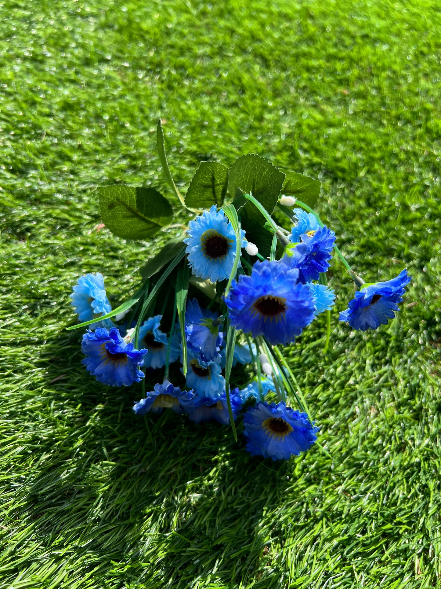 BABY GERBERA BUNCH BLUE