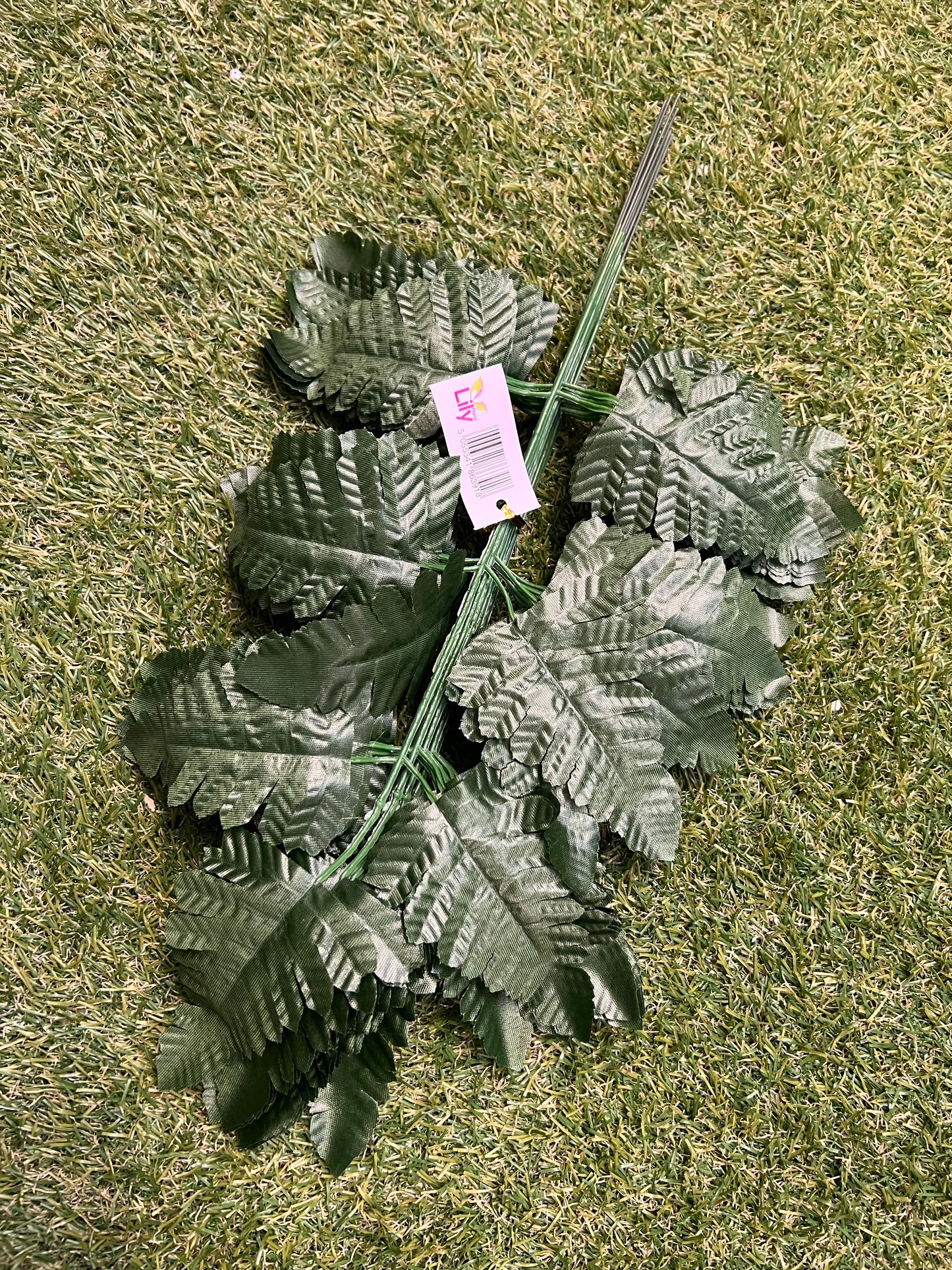 46cm LEATHER FERN PK 6 GREEN