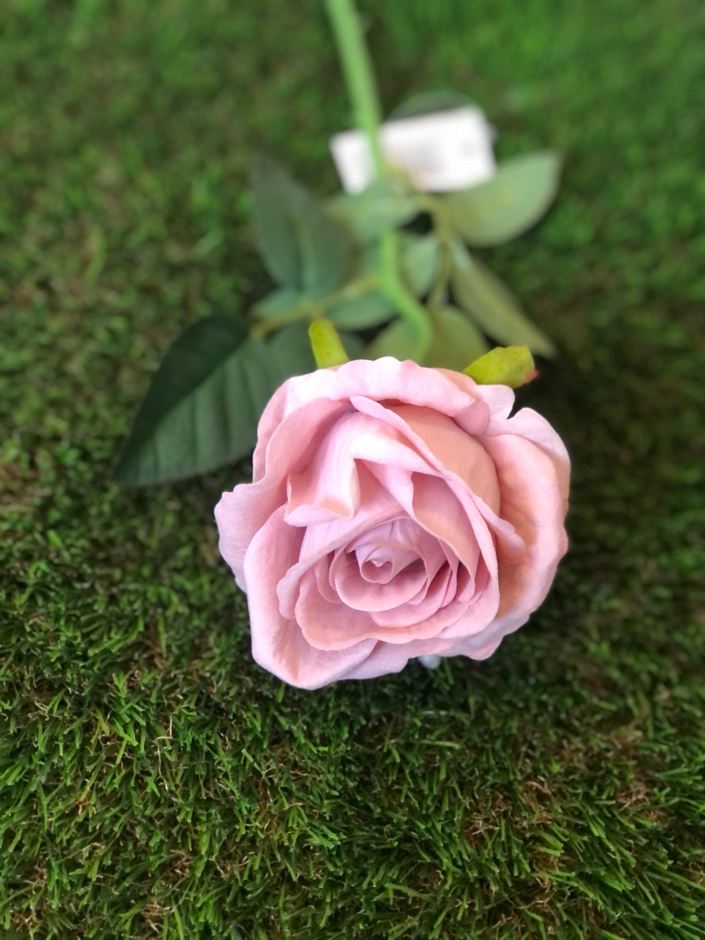 52cm SINGLE STEM VELVET ROSE PINK