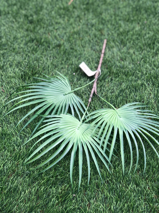 60cm TRIPLE PALM