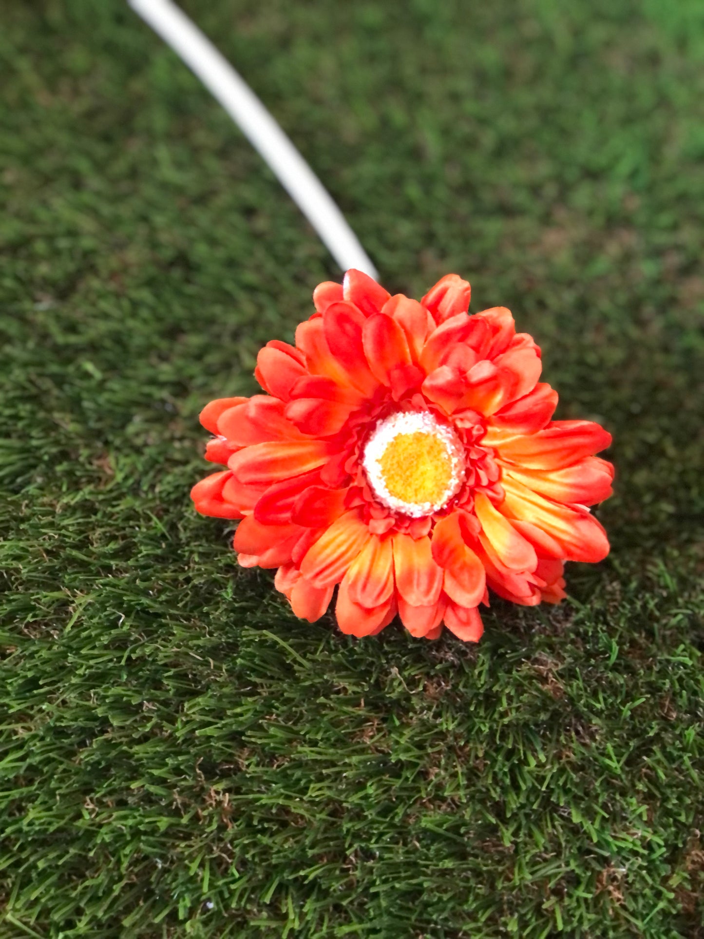 21INCH SINGLE STEM GERBERA ORANGE