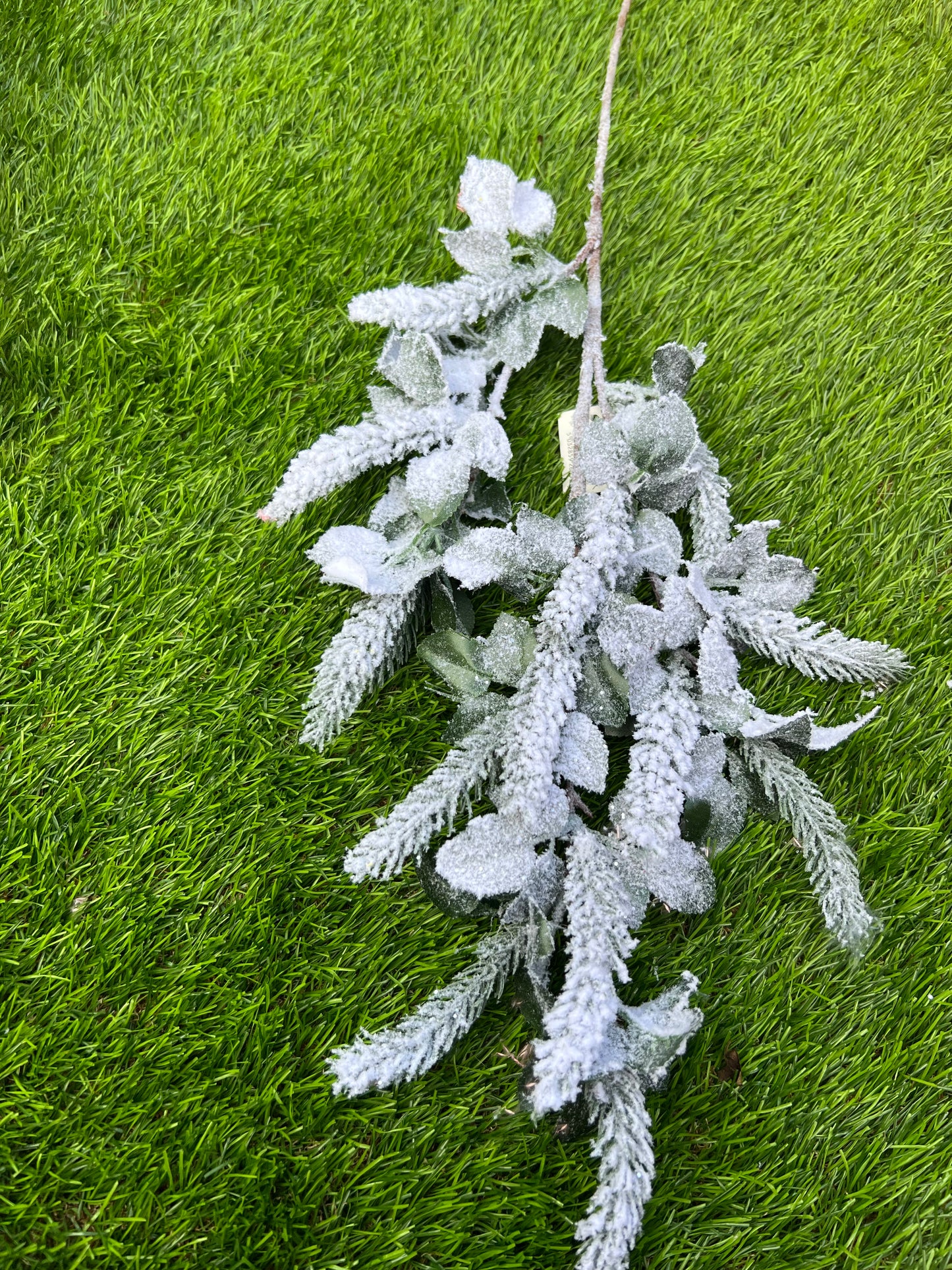 XMAS SNOWCAP NORWAY SPRUCE