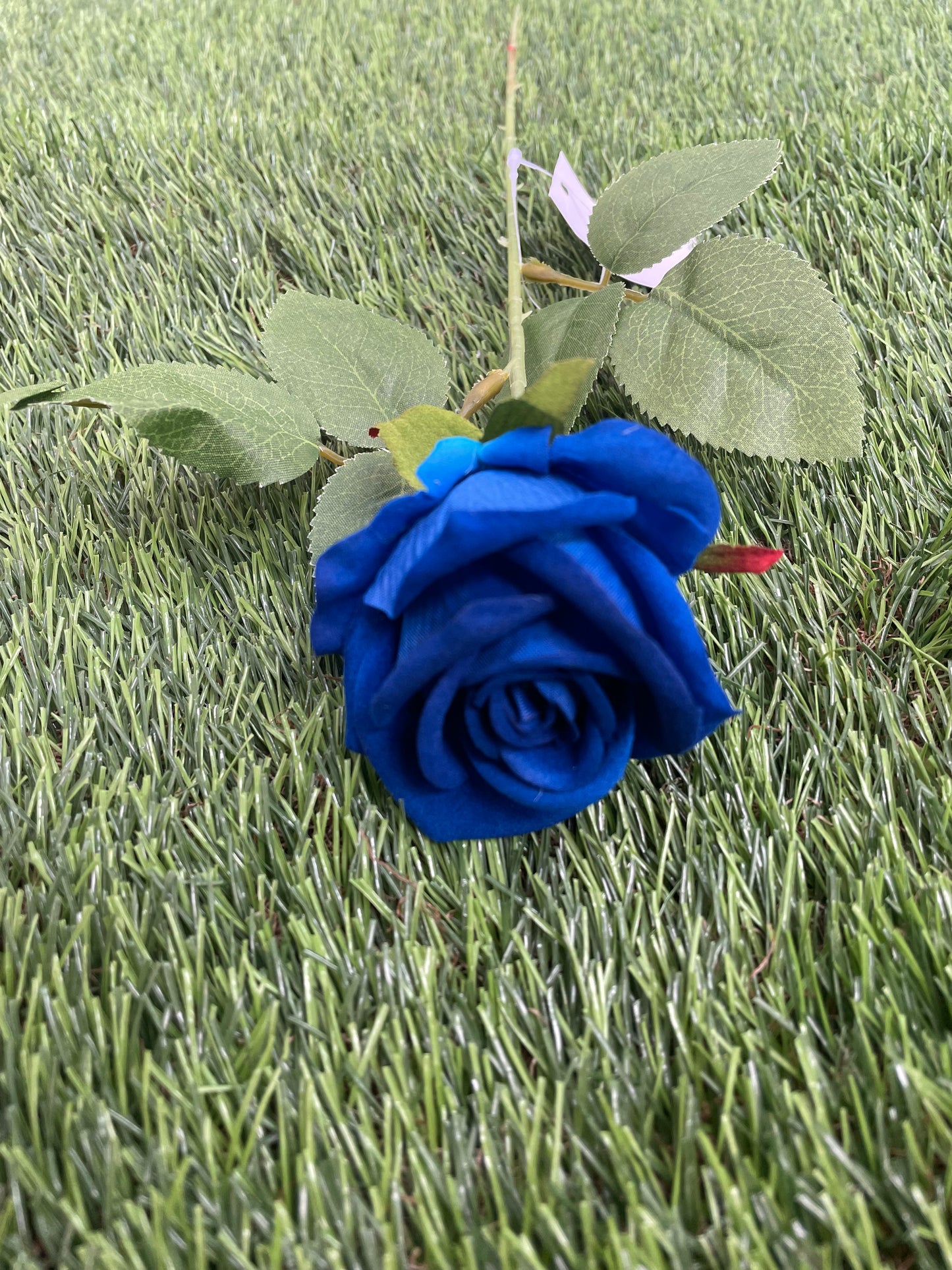 ROYAL BLUE SMALL ROSE 50cm