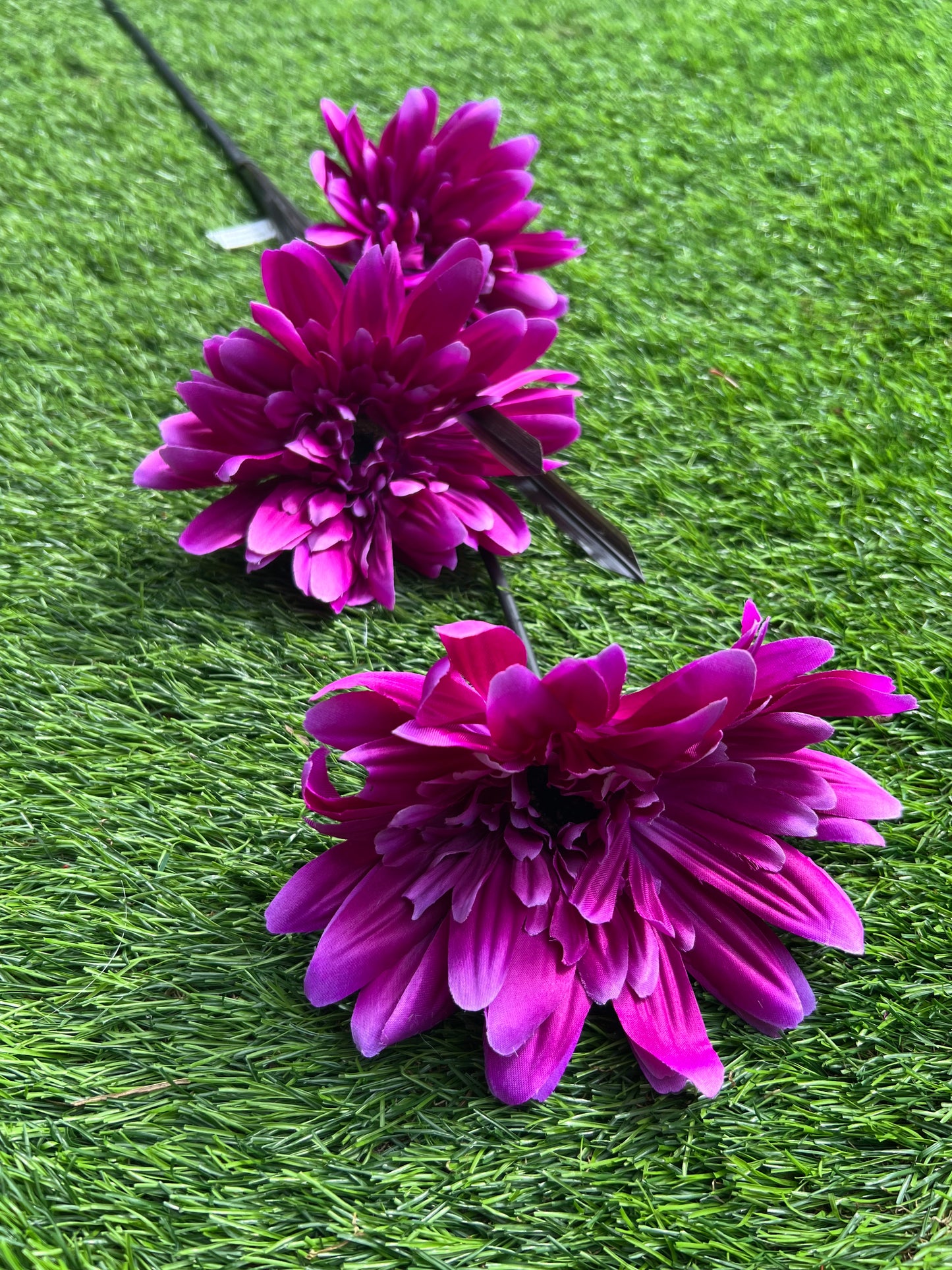 GIANT PINK  3 STEM GERBERA