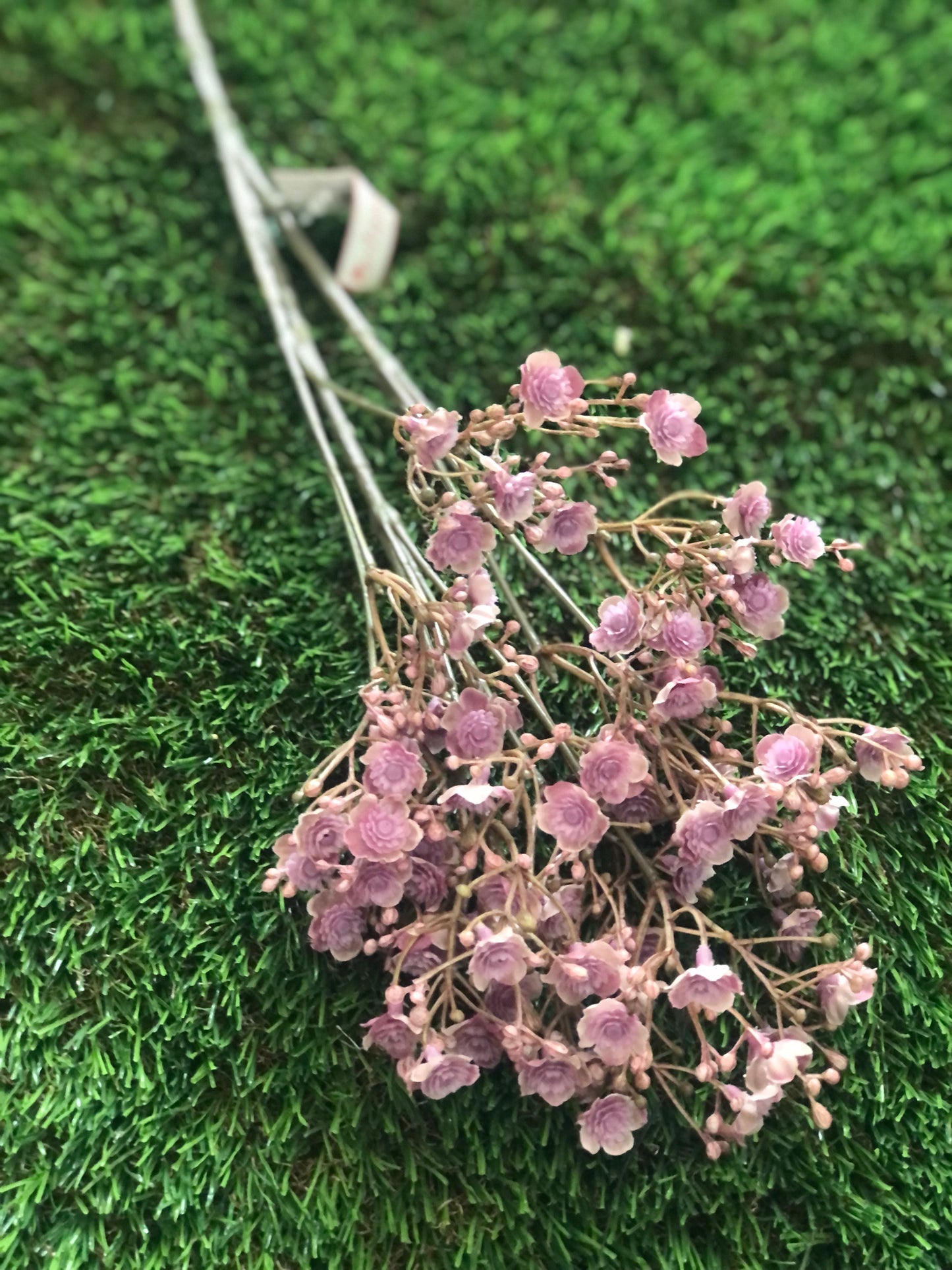 70cm DRY GYP STEM LILAC