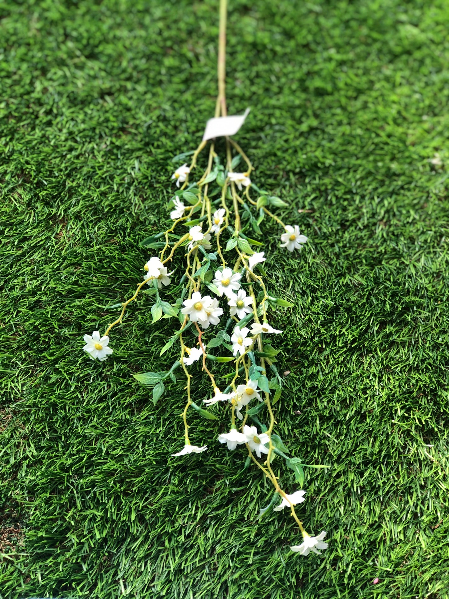 MINI DAISY IVORY STEM 70cm