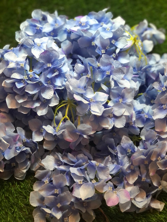 HYDRANGEA FLOWER HEADS BAG 50 BLUE