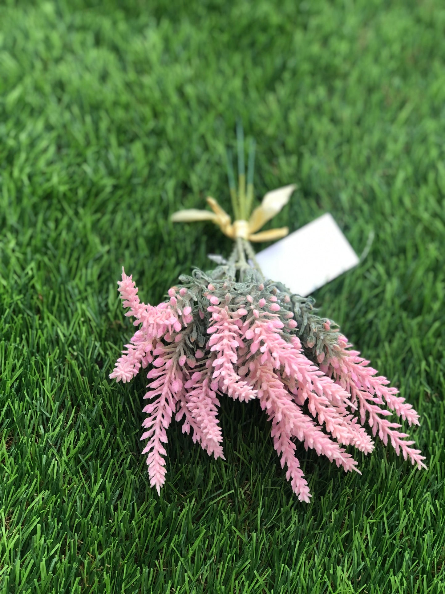 25cm PINK WAXED LAVENDER