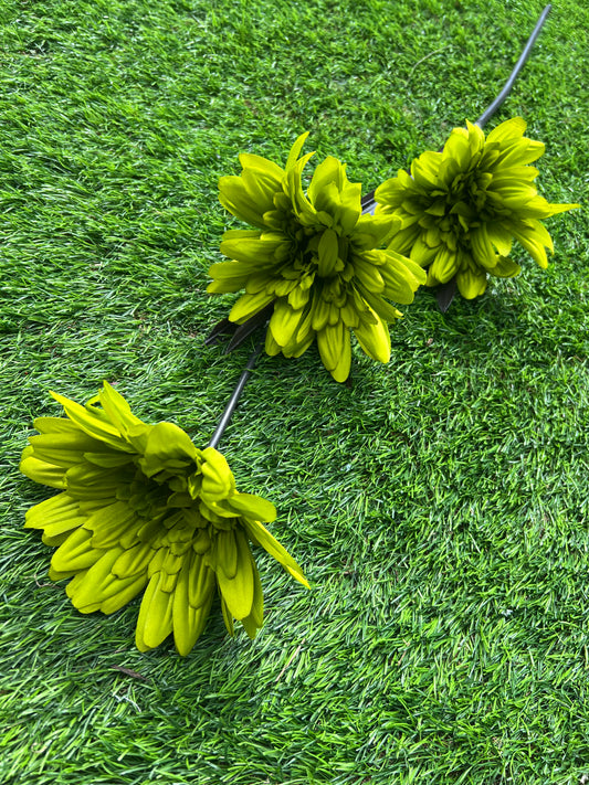 GIANT GREEN  3 STEM GERBERA