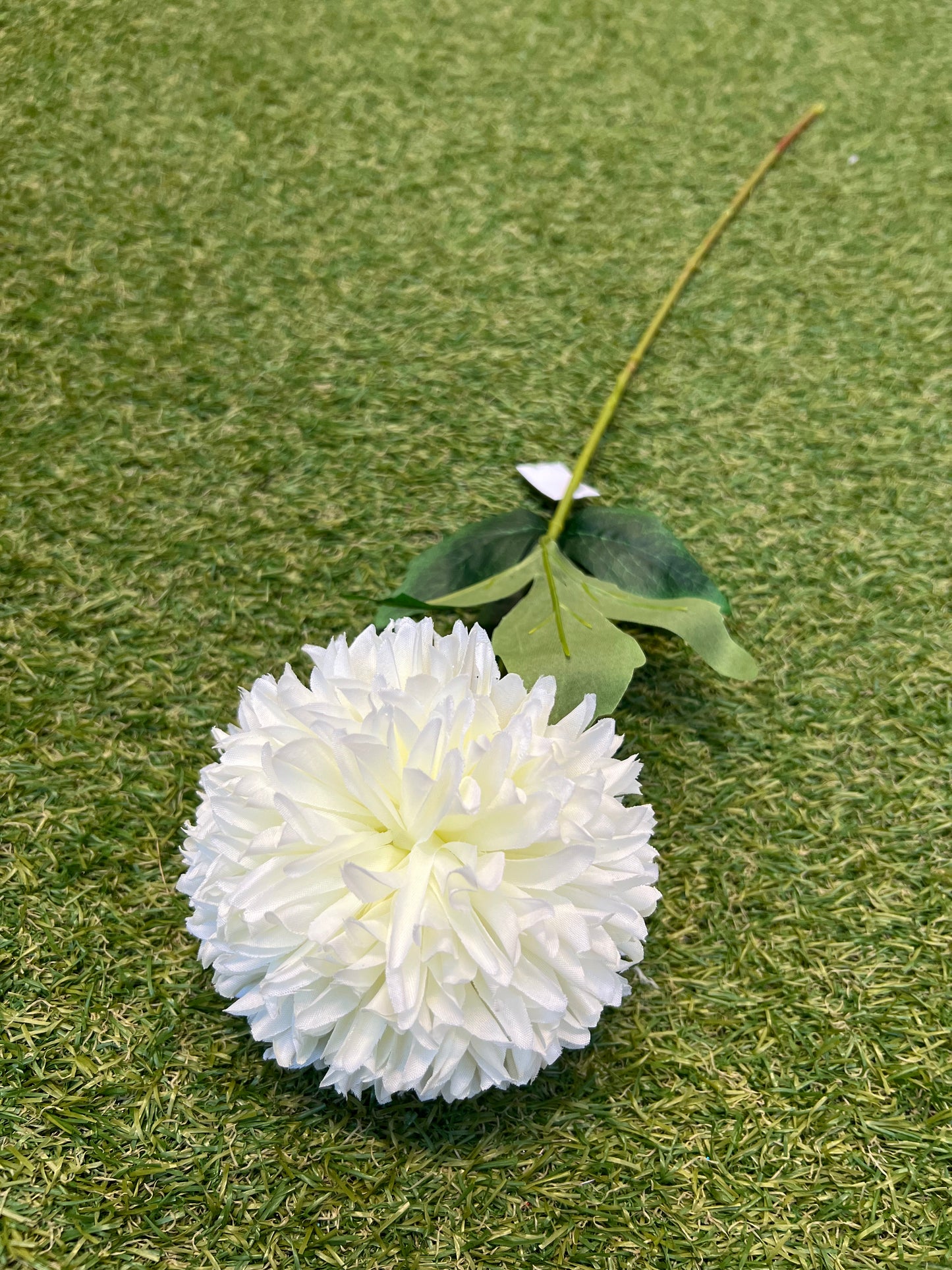 GIANT SINGLE POM POM IVORY