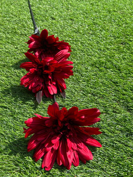 GIANT RED 3 STEM GERBERA