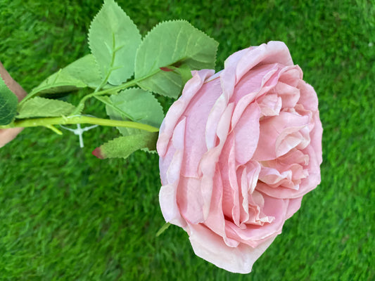 61cm SINGLE CABBAGE ROSE PINK