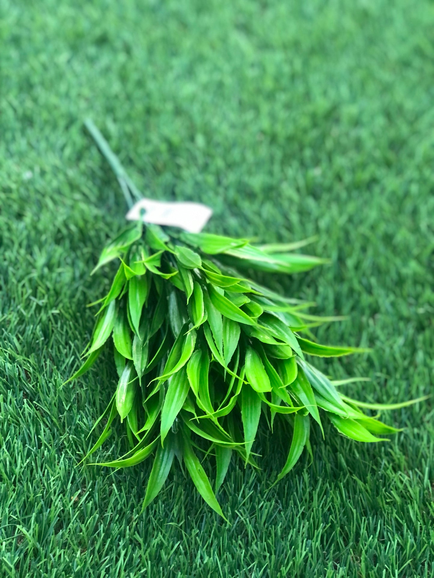 36cm GRASS BUSH