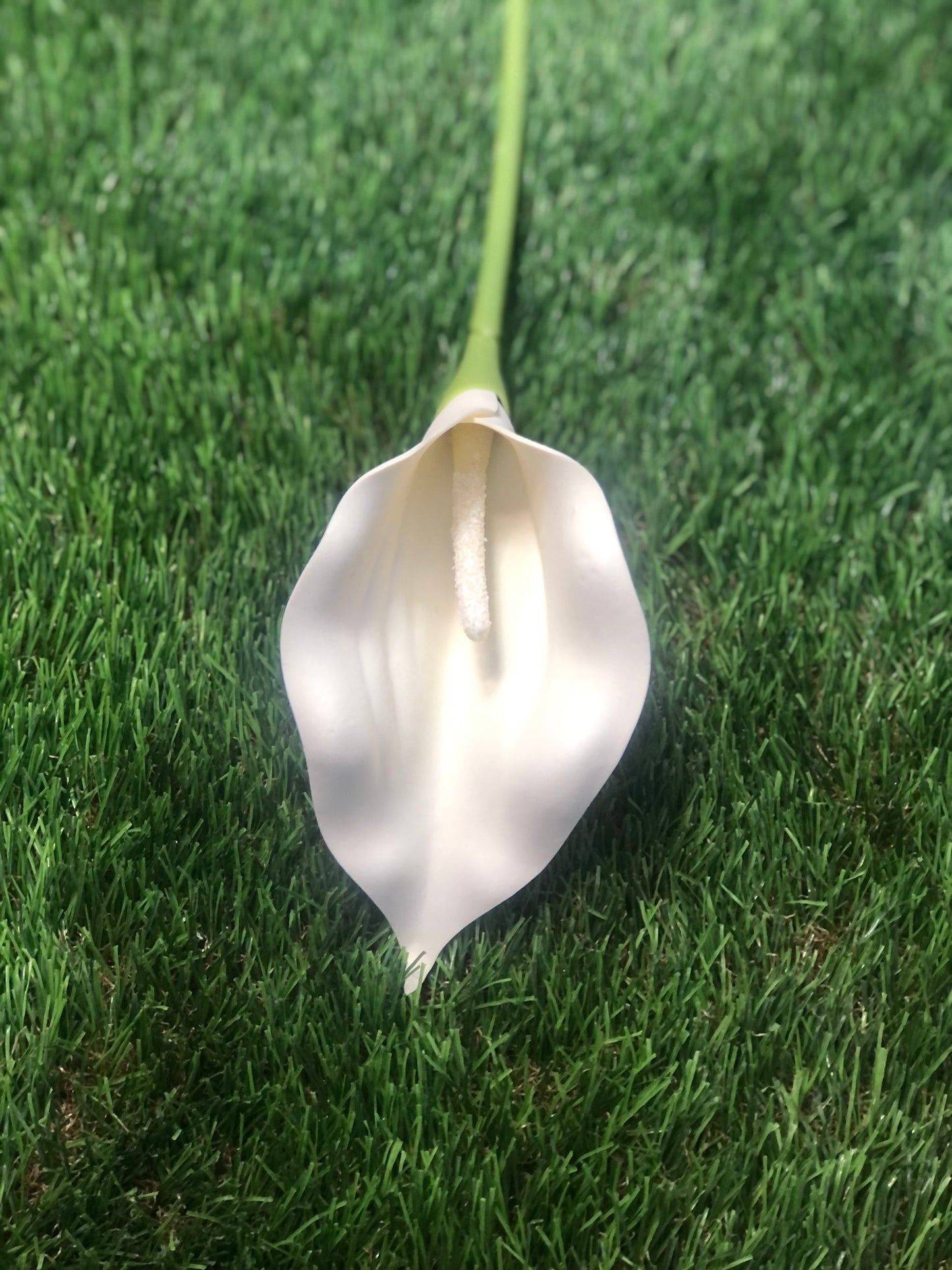 72cm LARGE SINGLE FOAM CALLA LILY IVORY