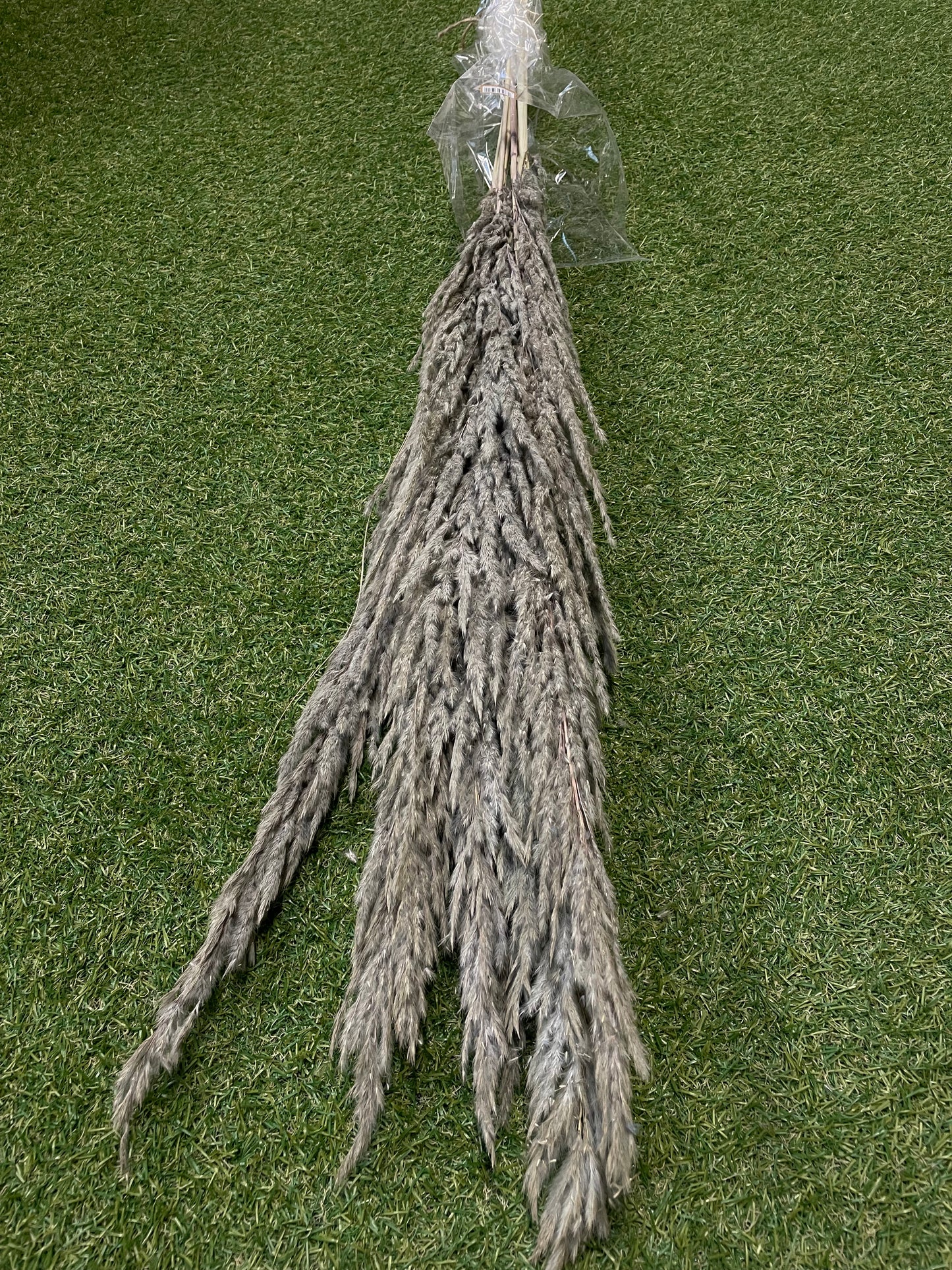 GREY FLUFFY PAMPAS 100cm