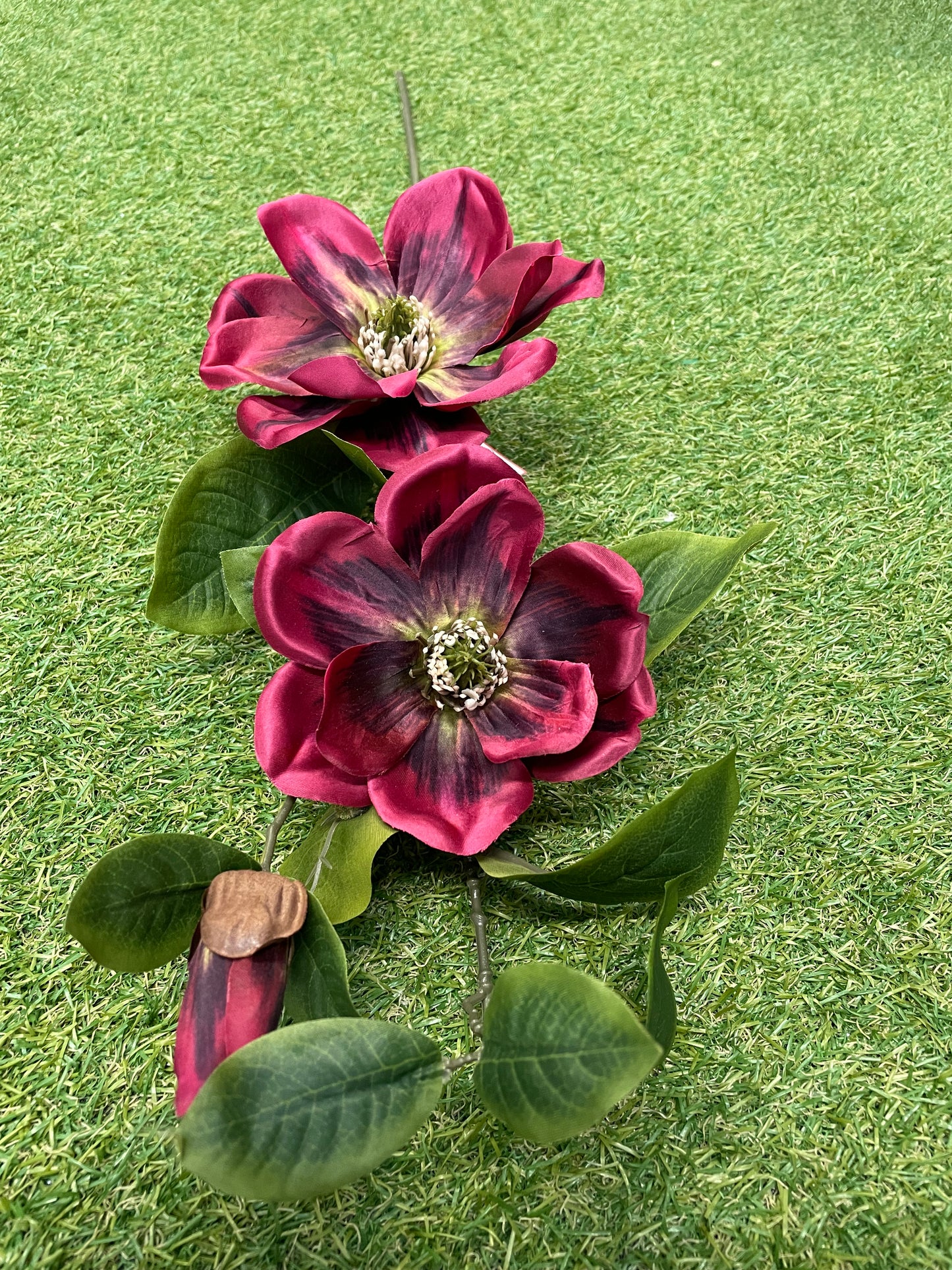 BURGUNDY MAGNOLIA DOUBLE HEAD STEM 84cm