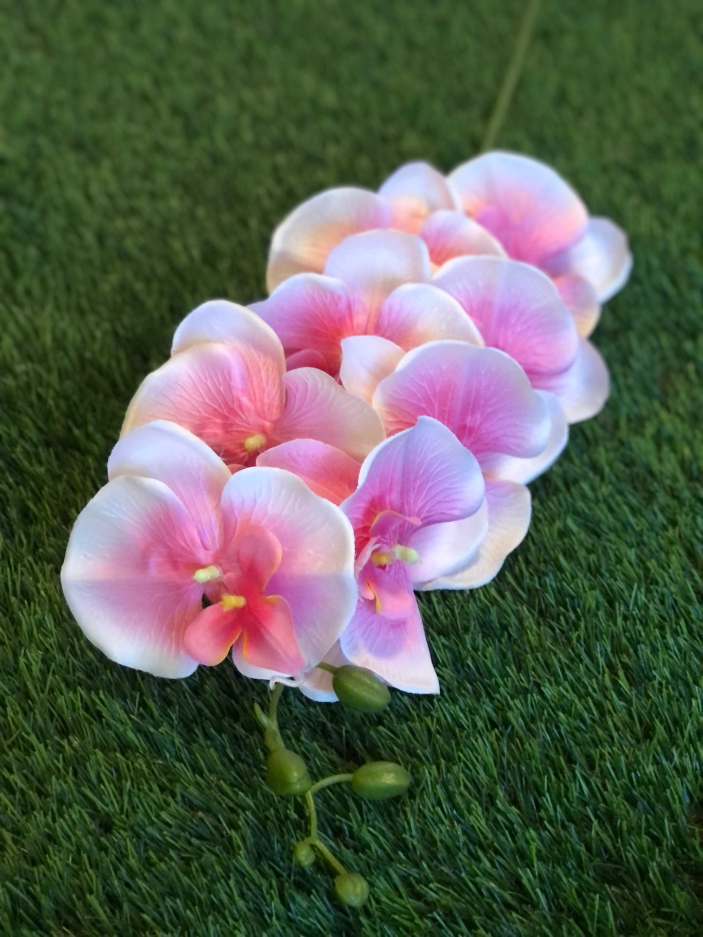 GIANT DELUXE DOUBLE ORCHID PINK 105cm