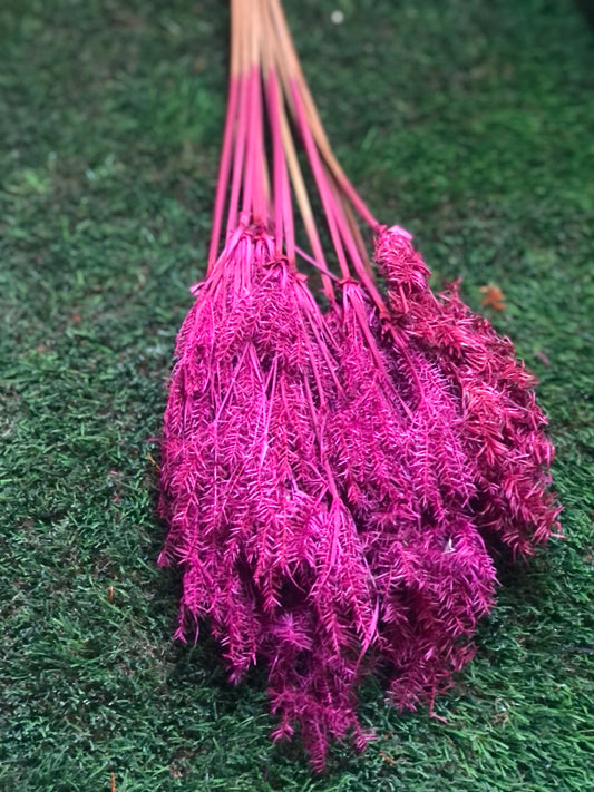 DRIED UMBRELLA BUNCH HOT PINK