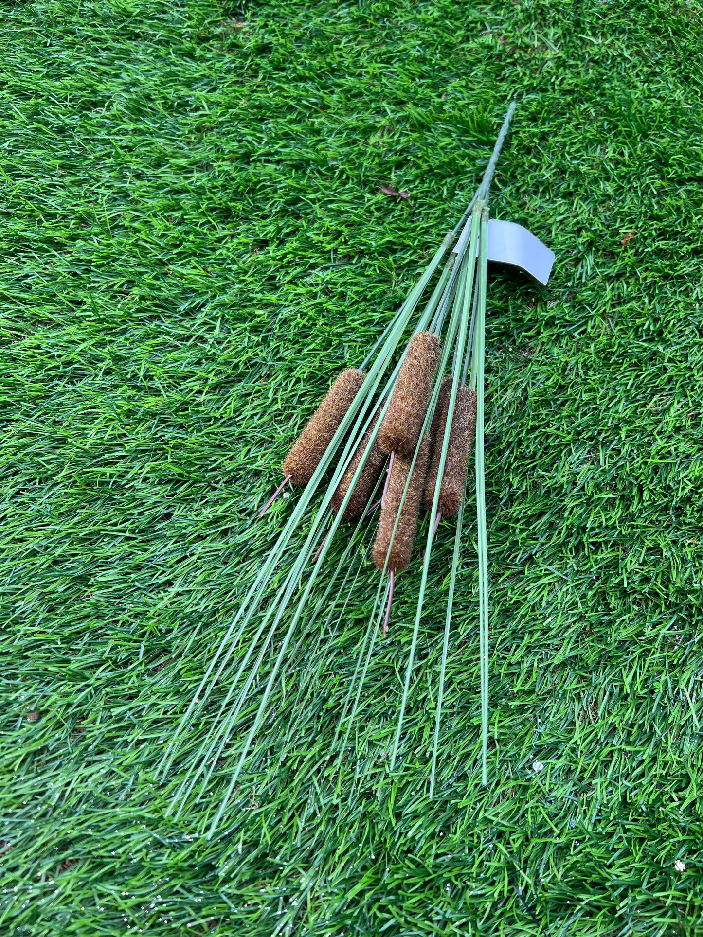 BULL RUSH WITH GRASS LIGHT BROWN