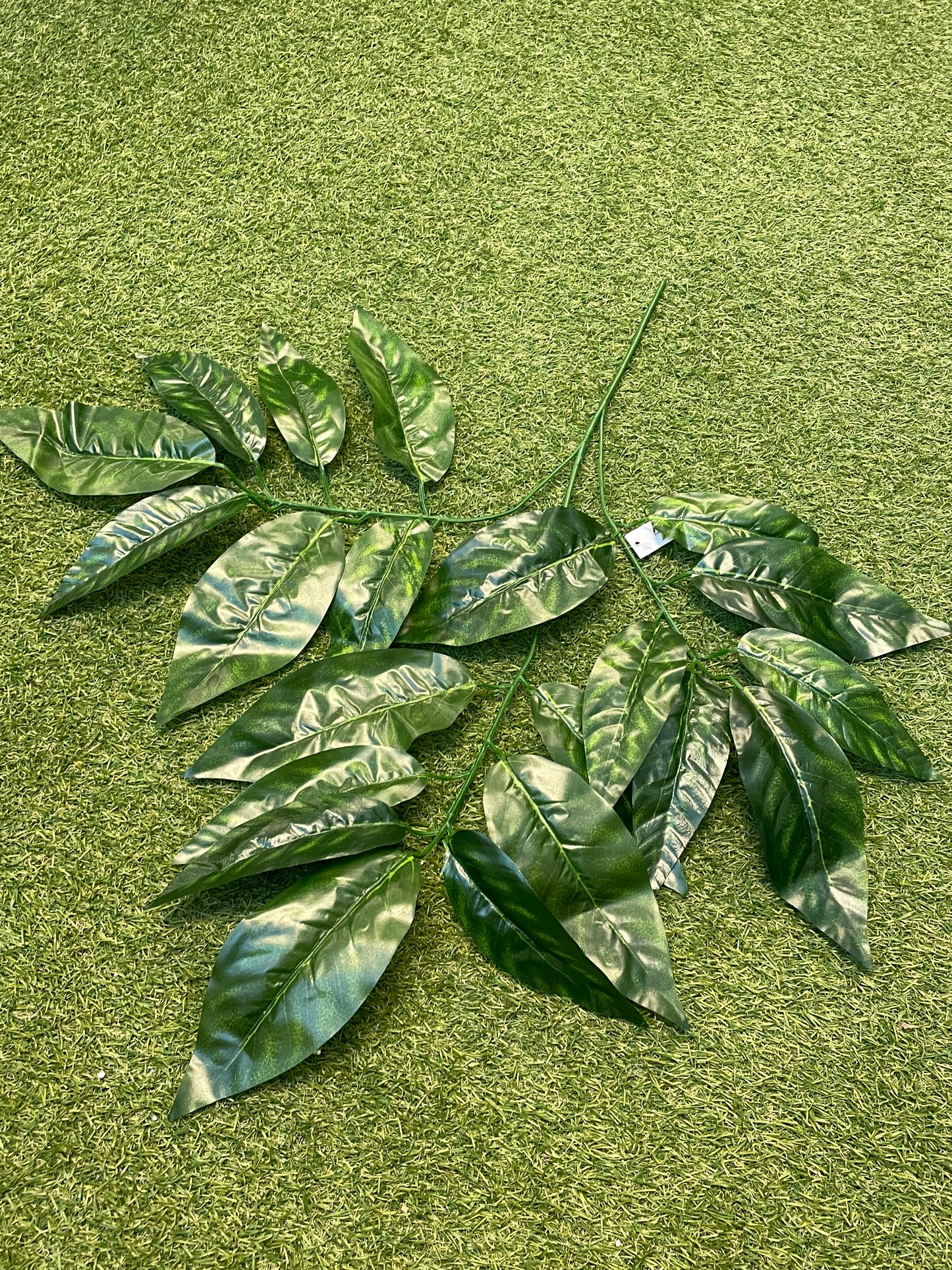 PK6 LARGE LEAF SPRAY GREEN 70cm