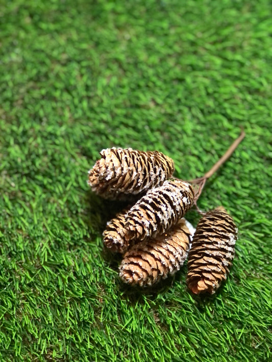 14cm FROSTED NATURAL LONG PINE CONE BUNCH