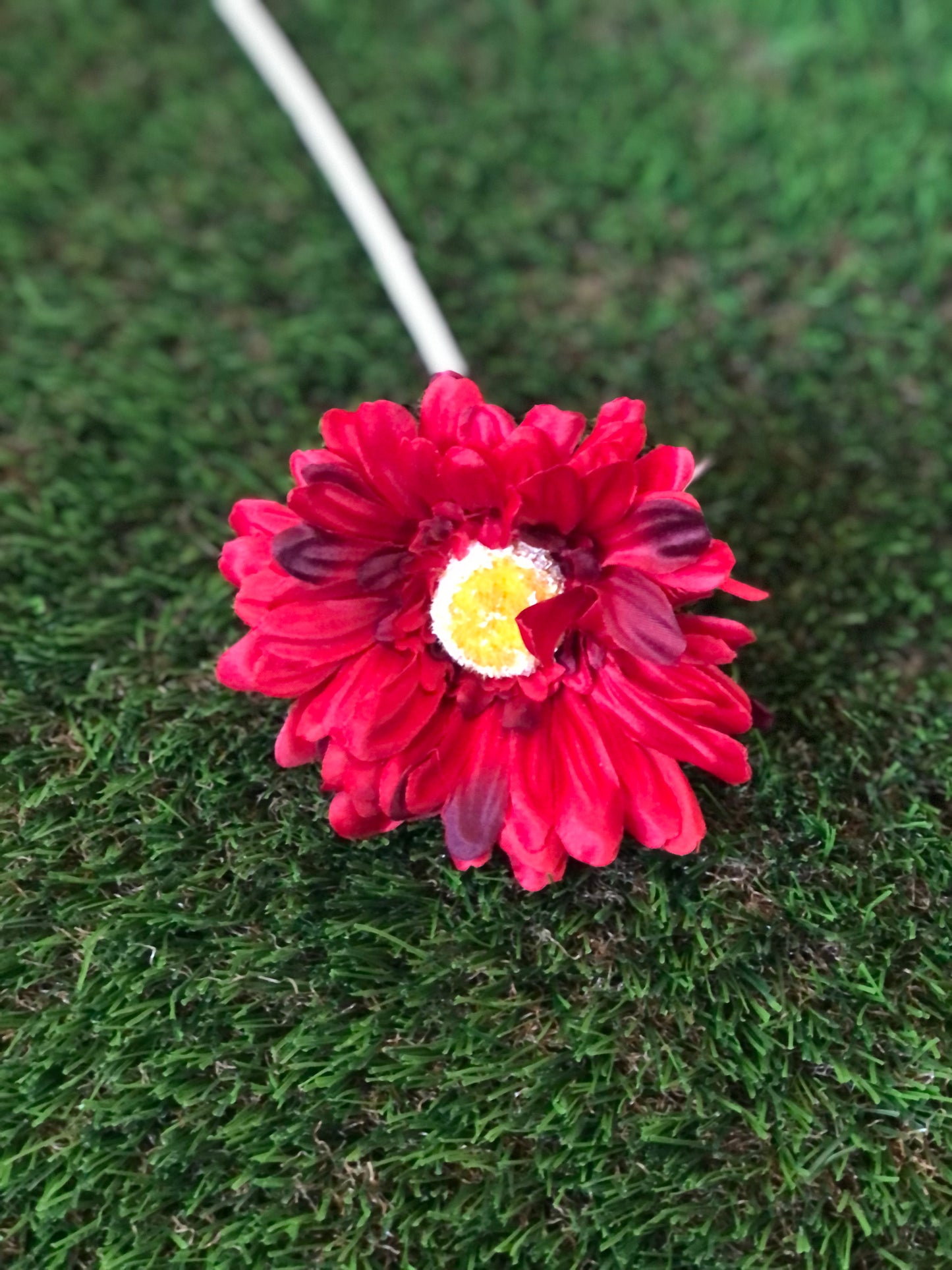 21INCH SINGLE STEM GERBERA RED