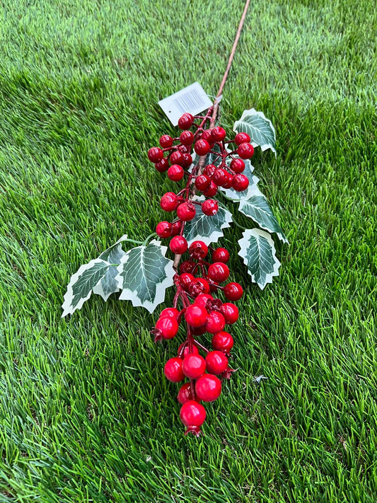 LONG BERRY &  VARIEGATED HOLLY STEM