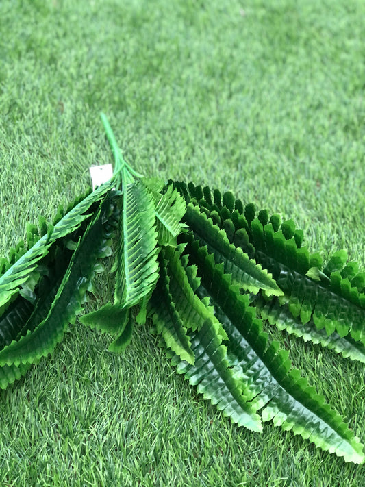 55cm LARGE BOSTON FERN