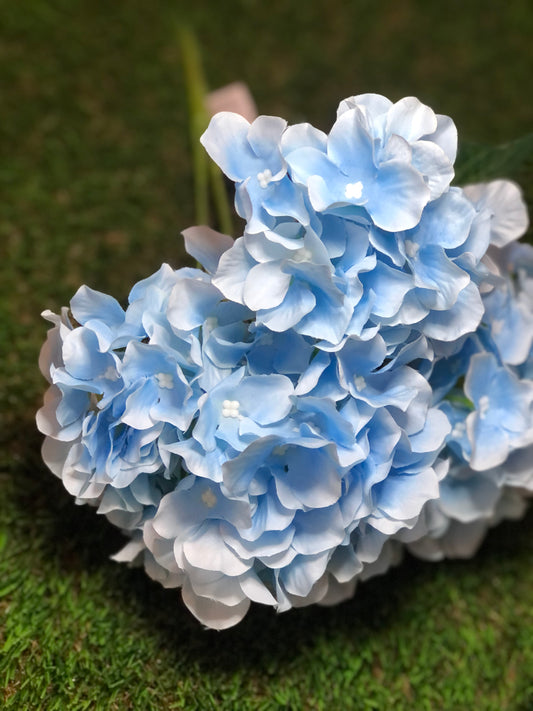 45cm HYDRANGEA BUNCH BABY BLUE   (5 heads)