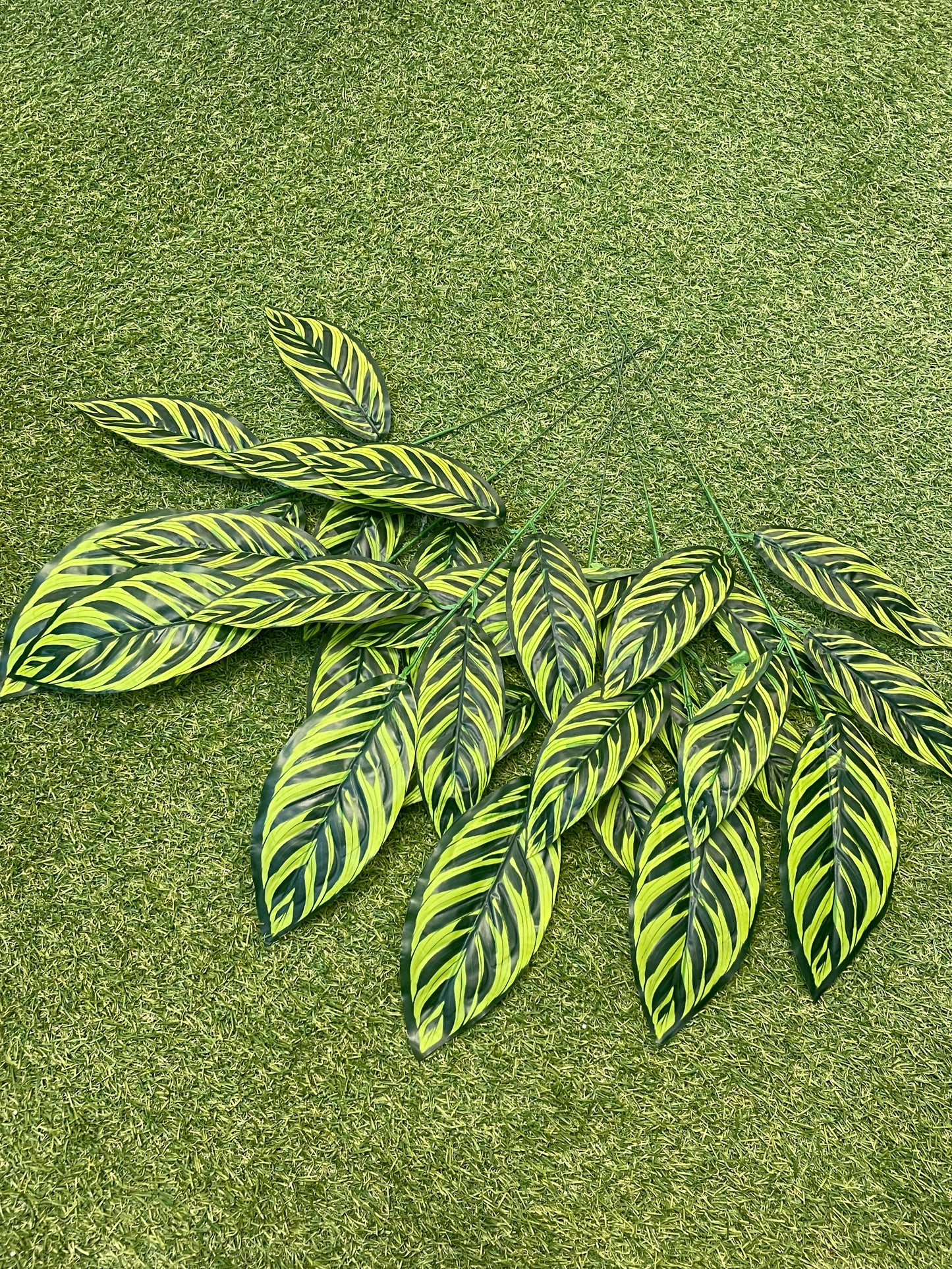 VARIEGATED LEAF SPRAY 6PK55cm