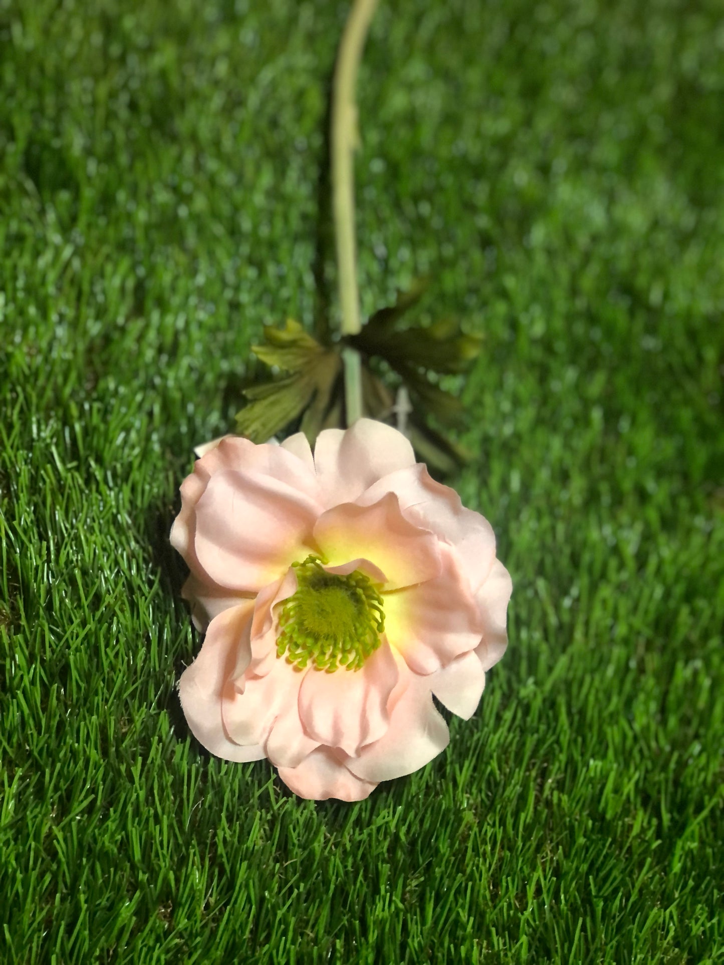 37cm SINGLE ANEMONE PINK