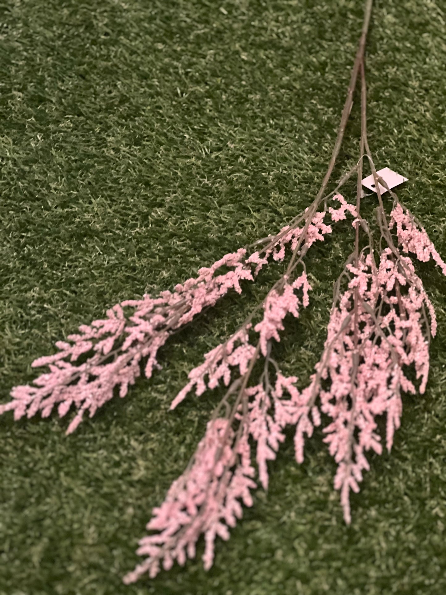 76cm LIMONIUM PINK