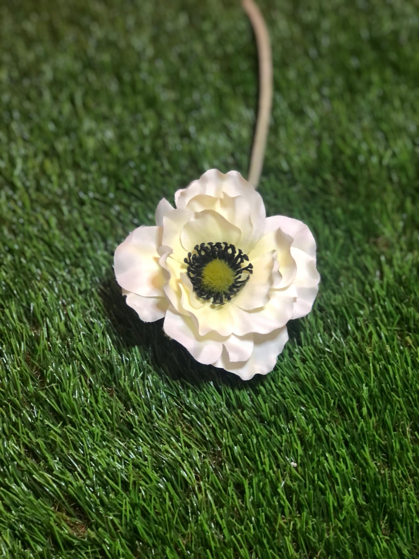 37cm SINGLE ANEMONE IVORY