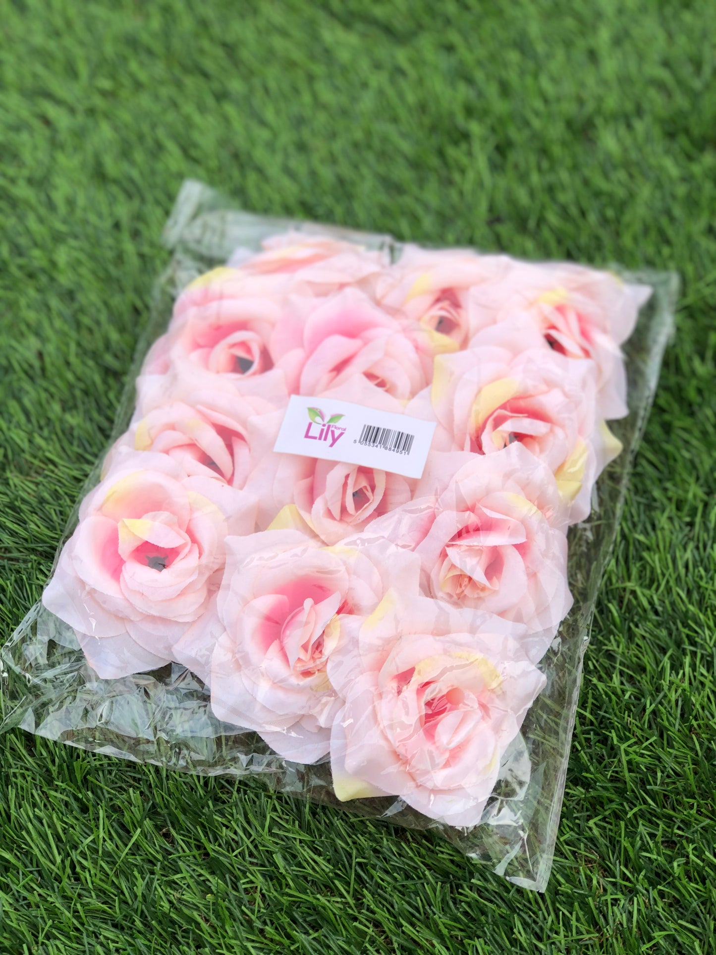 DIAMOND ROSE HEADS PEACH 12 pack