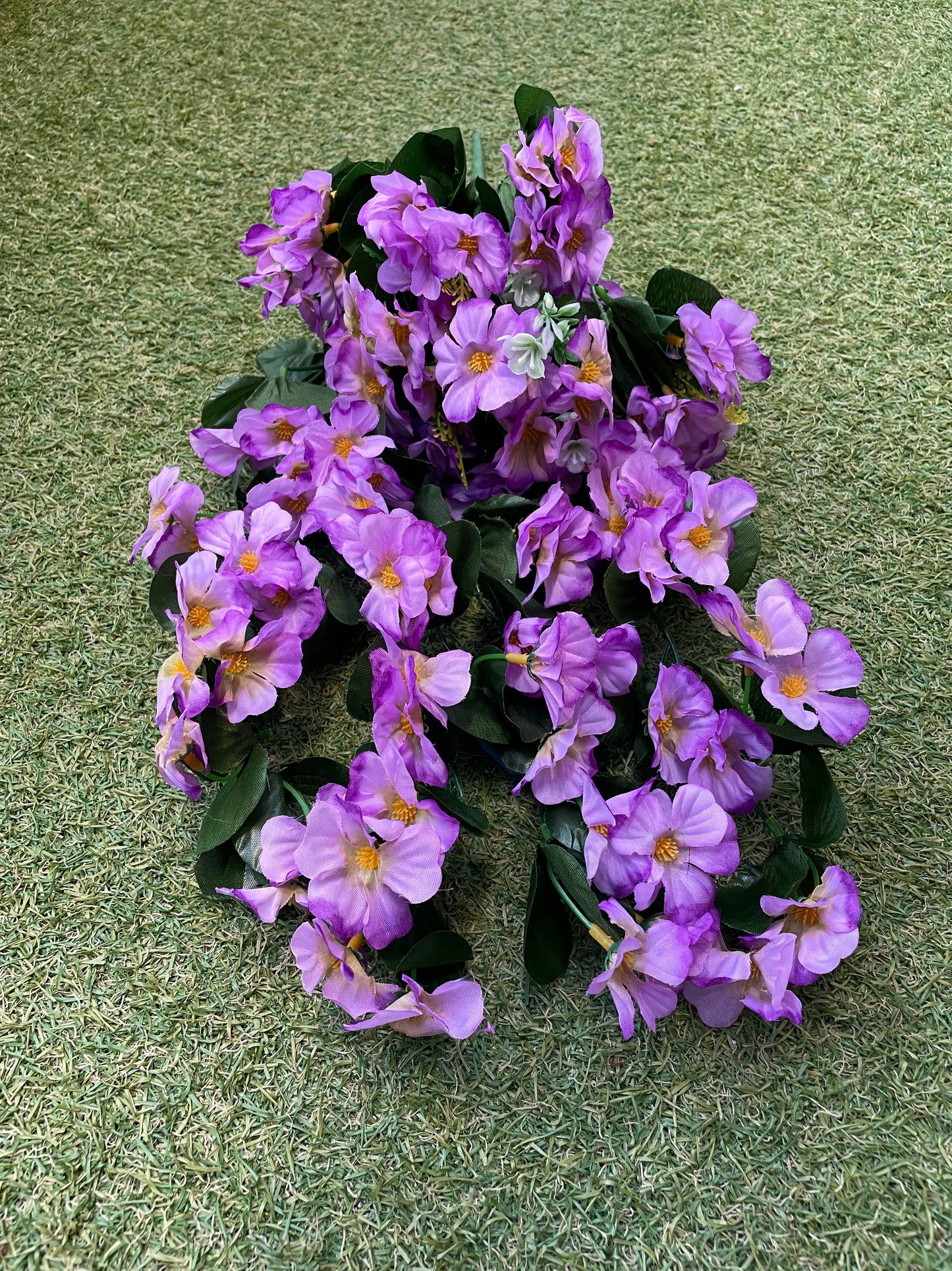 TRAILING NASTURTIUM LILAC PURPLE