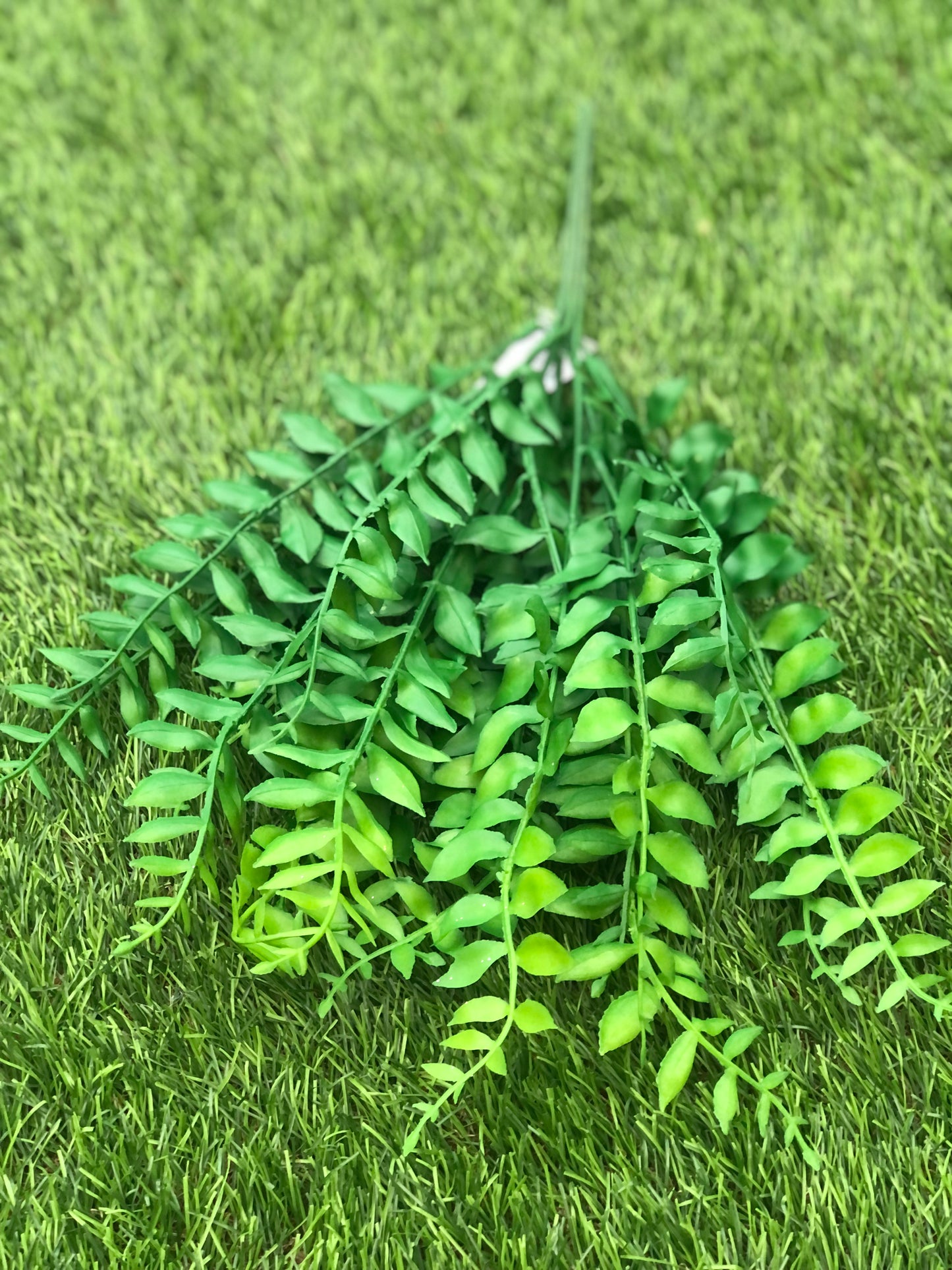 43cm DARK GREEN SMALL LEAF FERN BUSH