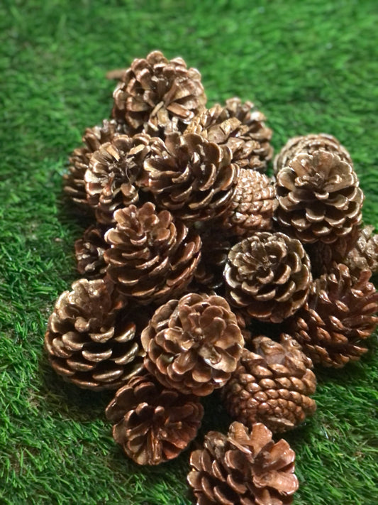 BAG 25 GOLD PINE CONES