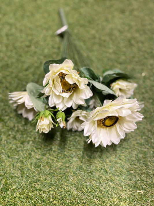 LARGE SUNFLOWER BUNCHES WHITE