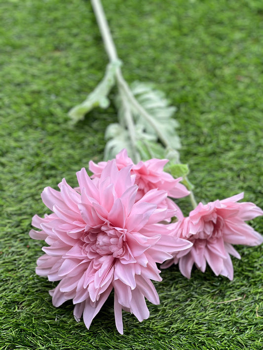 GIANT PINK TRIPLE DAHLIA