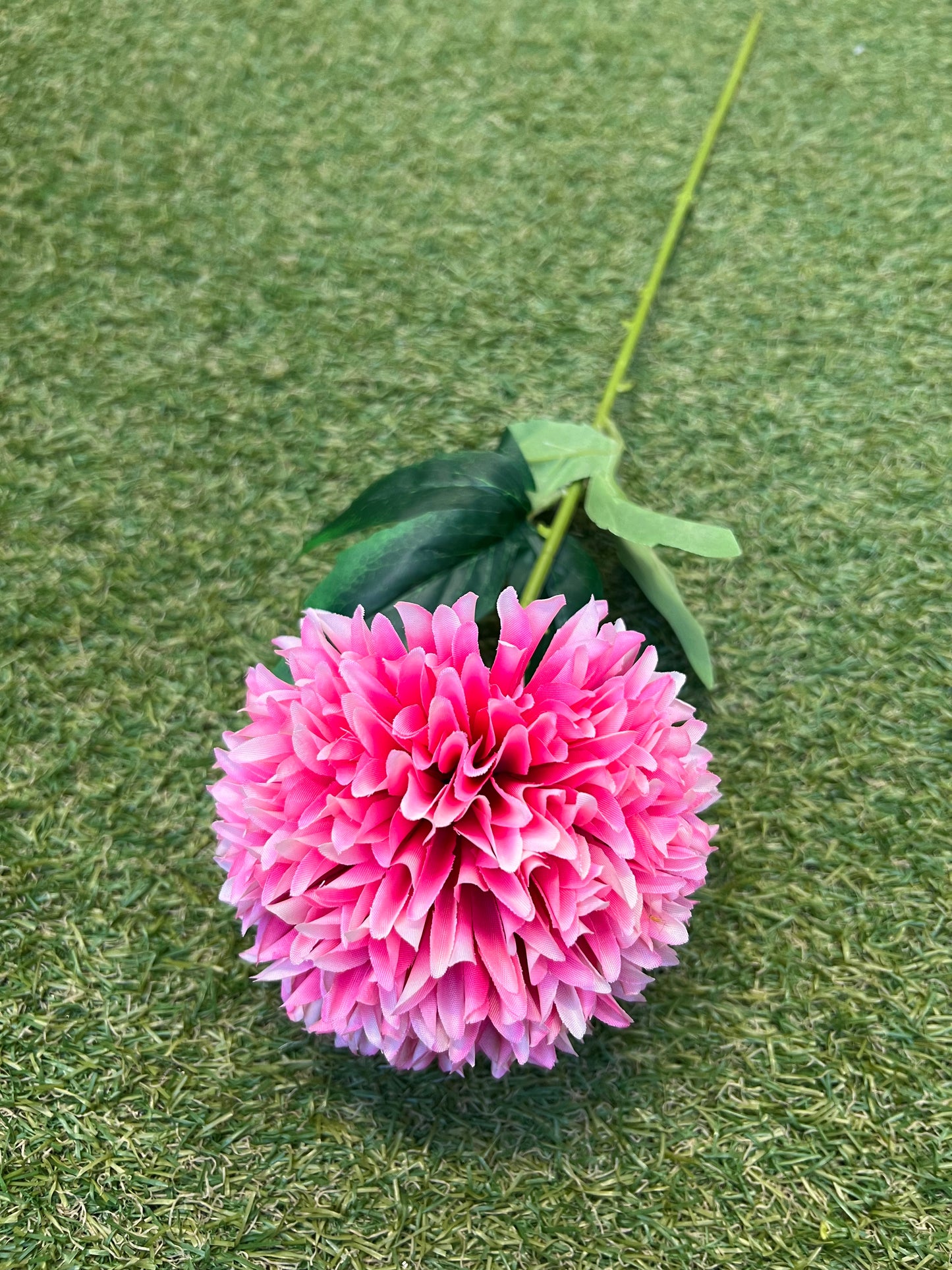 GIANT SINGLE POM POM PINK/CREAM TIP