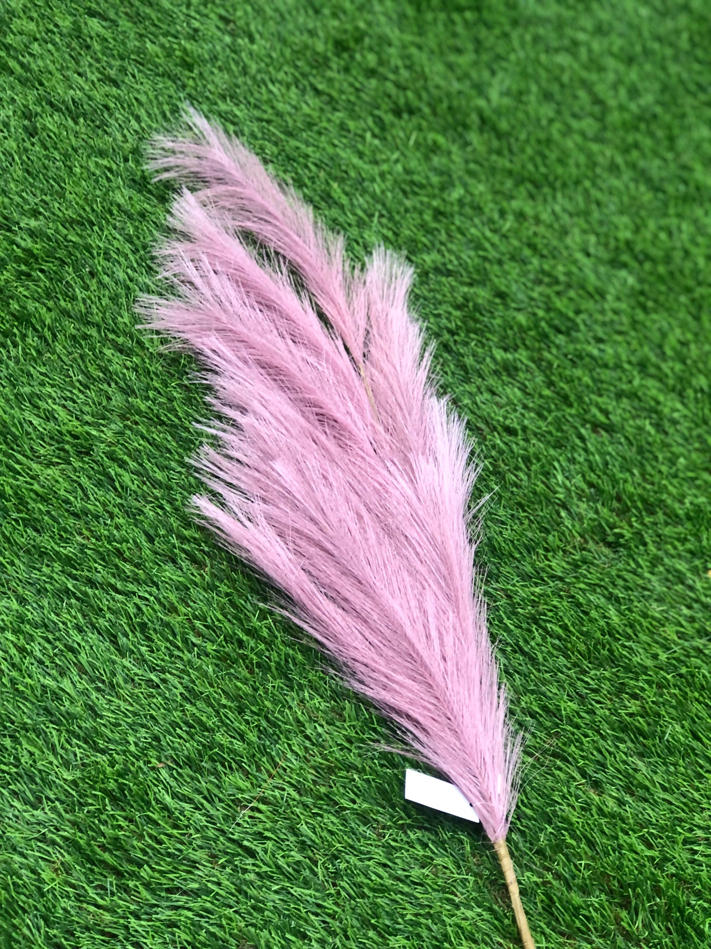 SYNTHETIC PAMPAS MAUVE 115cm